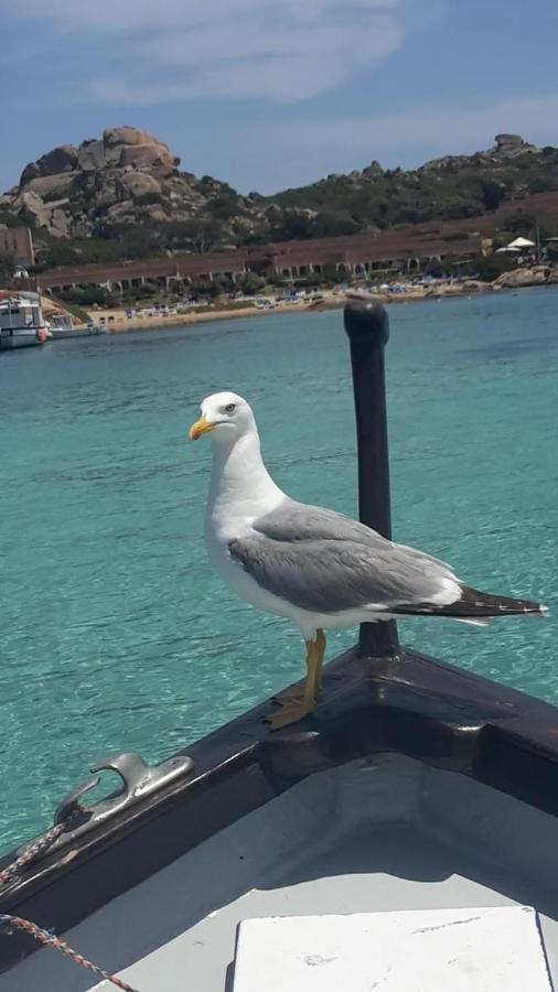 Appartamento Bluewater La Maddalena  Kültér fotó